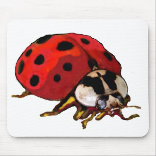 Tapis De Souris Ordinateur portable
