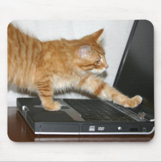 Tapis De Souris Ordinateur tabby orange