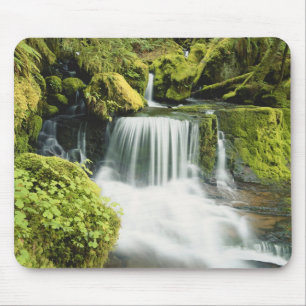 Tapis De Souris Oregon, Cascade dans le parc national Willamette