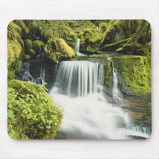 Tapis De Souris Oregon, Cascade dans le parc national Willamette (Devant)