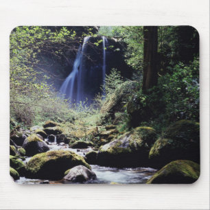 Tapis De Souris Oregon, forêt nationale de Siskiyou, Elk Creek