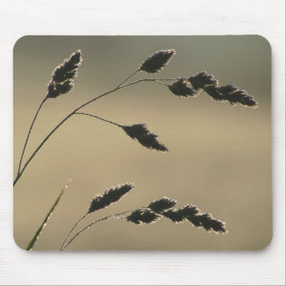 Tapis De Souris Oreille d'herbe humide