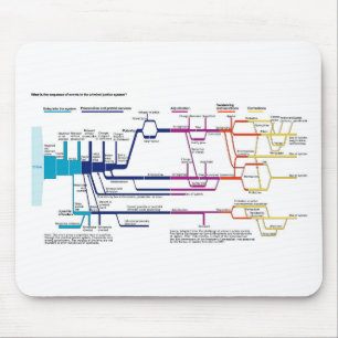 Tapis De Souris Organigramme du processus du système de justice pé