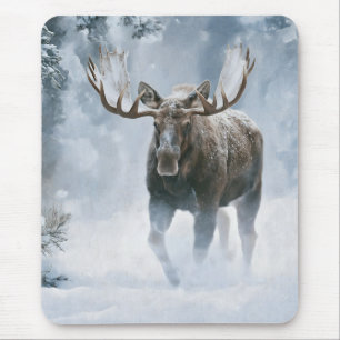 Tapis De Souris Orignal mâle marchant à travers la neige boréale