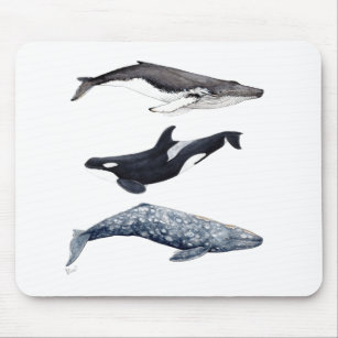 Tapis De Souris Orque, baleine bossue et baleine gris