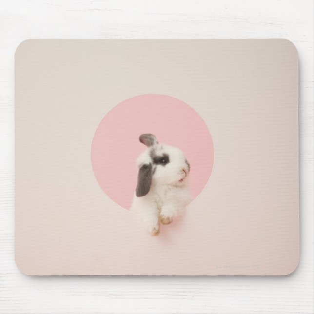 Tapis De Souris Oryctolagus cuniculus (Devant)