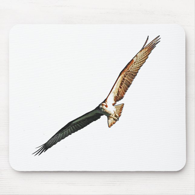 Tapis De Souris Osprey (Devant)