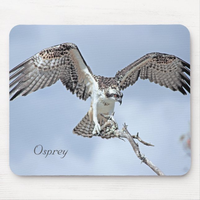 Tapis De Souris Osprey Wingspan Mousepad (Devant)