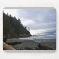 Oswald West State Park, Oregon Coast