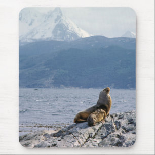 Tapis De Souris Otaries dans le canal beagle - Argentine