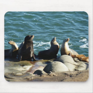 Tapis De Souris Otaries de San Diego