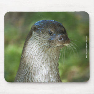 Tapis De Souris Otter