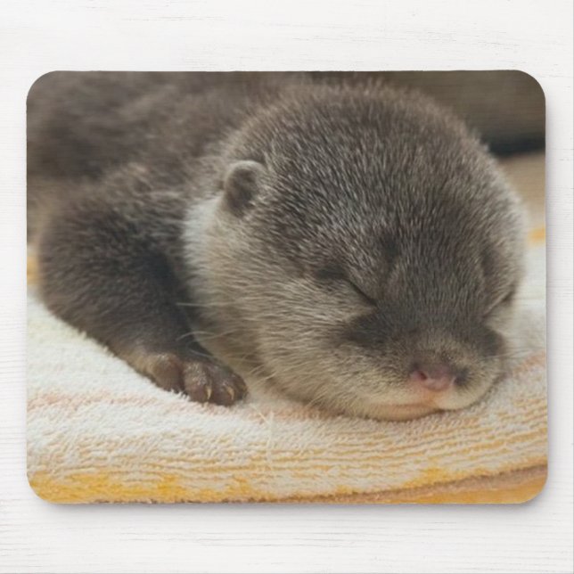 Tapis De Souris Otter endormi (Devant)