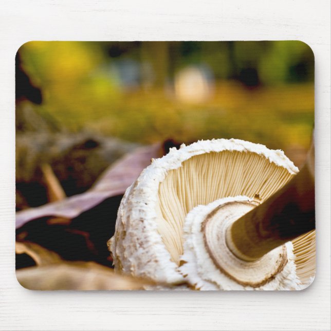 Tapis De Souris Où est Alice ? Vie morte des champignons (Devant)