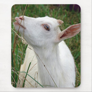 Tapis De Souris Ouah ! Cette herbe est plus grande que moi