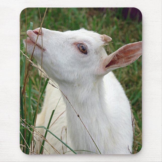 Tapis De Souris Ouah ! Cette herbe est plus grande que moi (Devant)