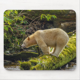 Tapis De Souris Ours blanc
