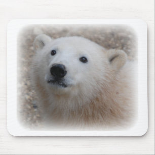 Tapis De Souris Ours blanc CUB