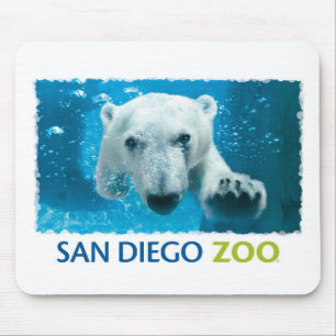 Tapis De Souris Ours blanc de zoo de San Diego