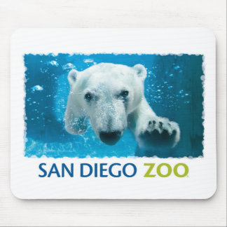 Tapis De Souris Ours blanc de zoo de San Diego