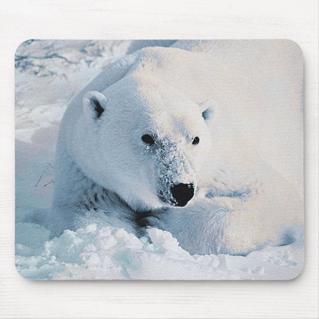 Tapis De Souris Ours blanc et neige Mousepad (Devant)