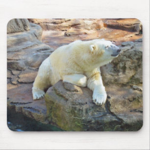 Tapis De Souris Ours blanc Mousepad