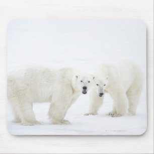 Tapis De Souris Ours blancs se tenant sur la neige après le jeu d