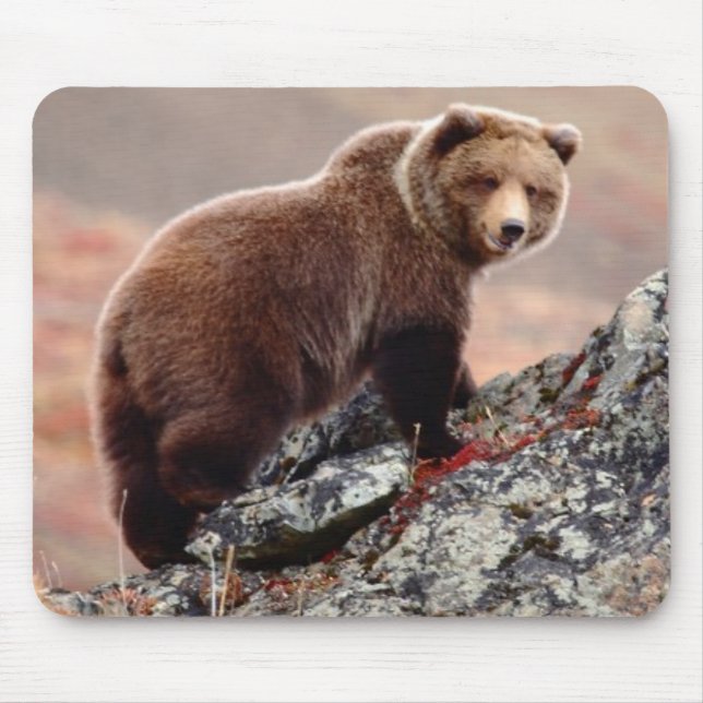 Tapis De Souris Ours Brown de Denali (Devant)