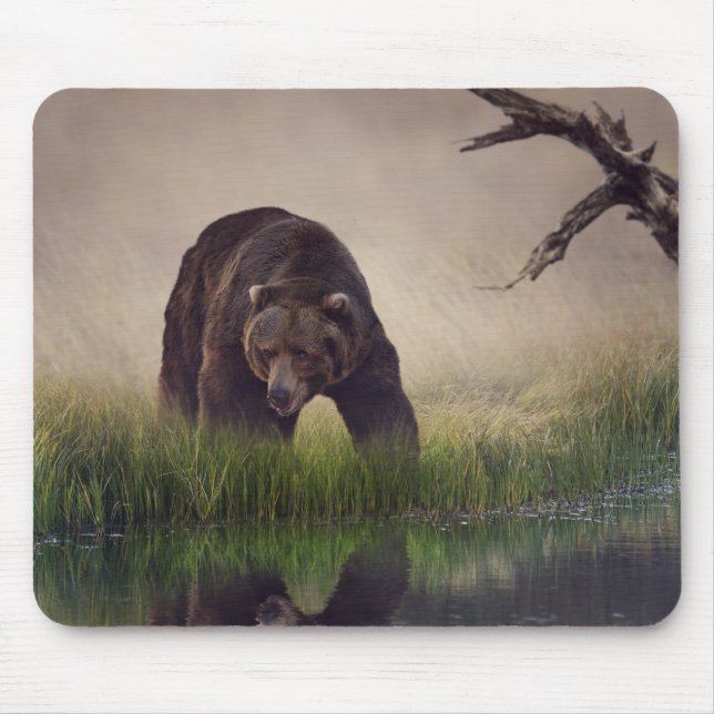 Tapis de souris ours brun chasse (Devant)