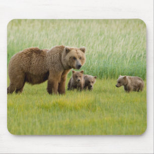 Tapis De Souris Ours brun d'Alaska avec des oursons dans une prair