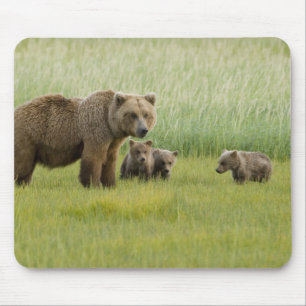 Tapis De Souris Ours brun d'Alaska femelle et trois oursons, Ursus