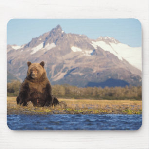 Tapis De Souris ours brun, Ursus arctos, grizzli, Ursus