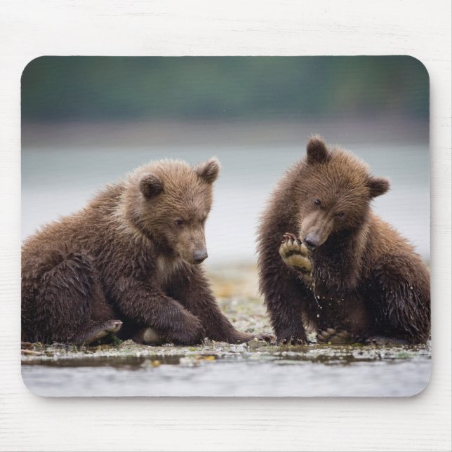 Tapis De Souris Ours Bruns Jeunes au Bord du Ruisseau (Devant)