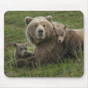 Tapis De Souris Ours bruns oursons câlinant leur mère