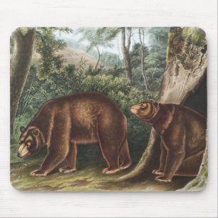 Tapis De Souris Ours de cannelle (Ursus Americanus var. Cinnamonum