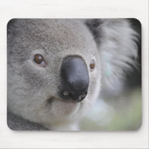Tapis De Souris Ours de koala adorable