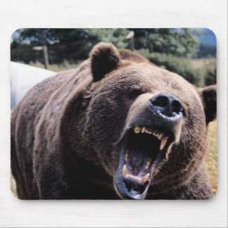 Tapis De Souris Ours de nounours d'hurlement