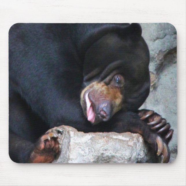 Tapis De Souris Ours endormi (Devant)