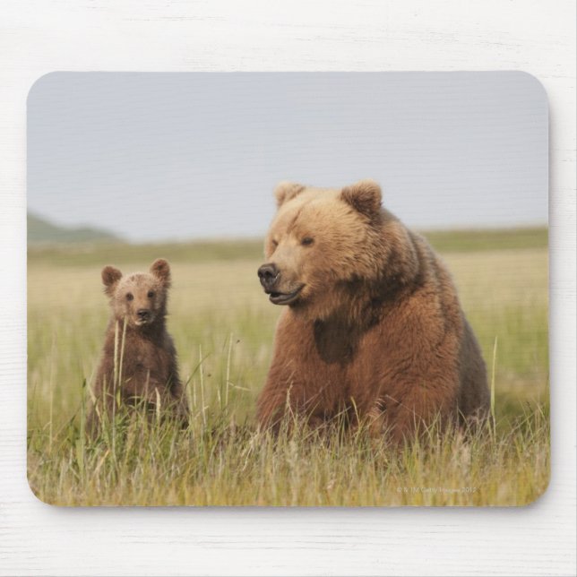Tapis De Souris Ours gris avec CUB (Devant)