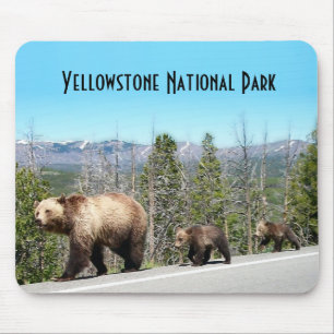 Tapis De Souris Ours grizzli sauvage Mama et les oursons à Yellows