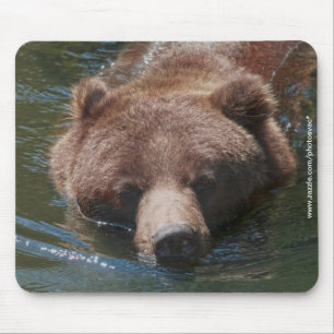 Tapis De Souris Ours grizzly