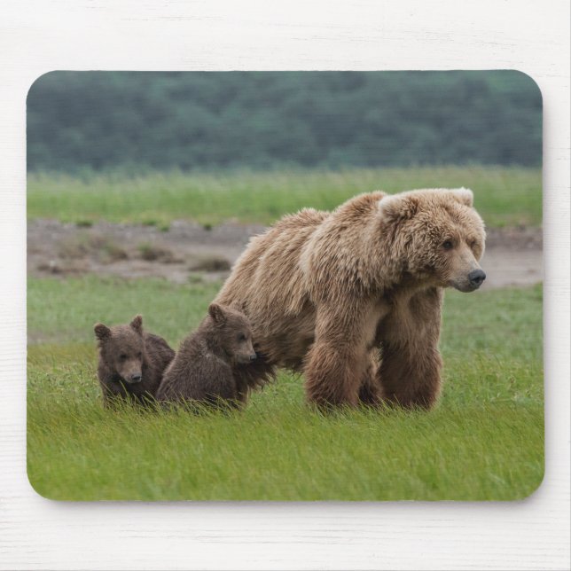 Tapis De Souris Ours grizzly mère avec deux oursons (Devant)