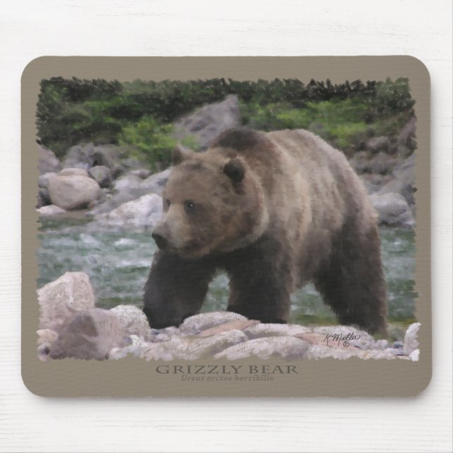 Tapis De Souris Ours grizzly - Pastels (Devant)