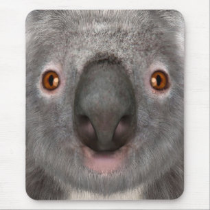 Tapis De Souris Ours koala