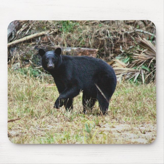 Tapis De Souris Ours noir de Floride (Devant)
