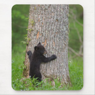 Tapis De Souris Ours noir jeune Great Smoky Mountains