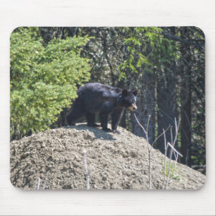 Tapis De Souris Ours Noir Sauvage Cub & Mud Hill Wildlife Photo Do