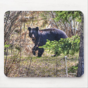 Tapis De Souris Ours noir sauvage et arbres Photo de la faune