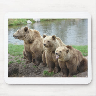 Tapis De Souris Ours ours animal personnalisé anniversaires person