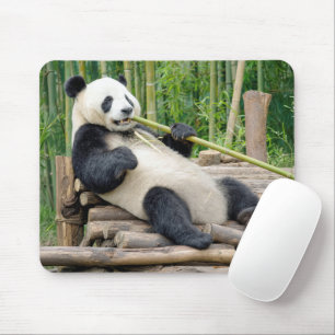 Tapis De Souris Ours Panda mâchant une tige de bambou